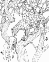 A coloring page of nature in africa